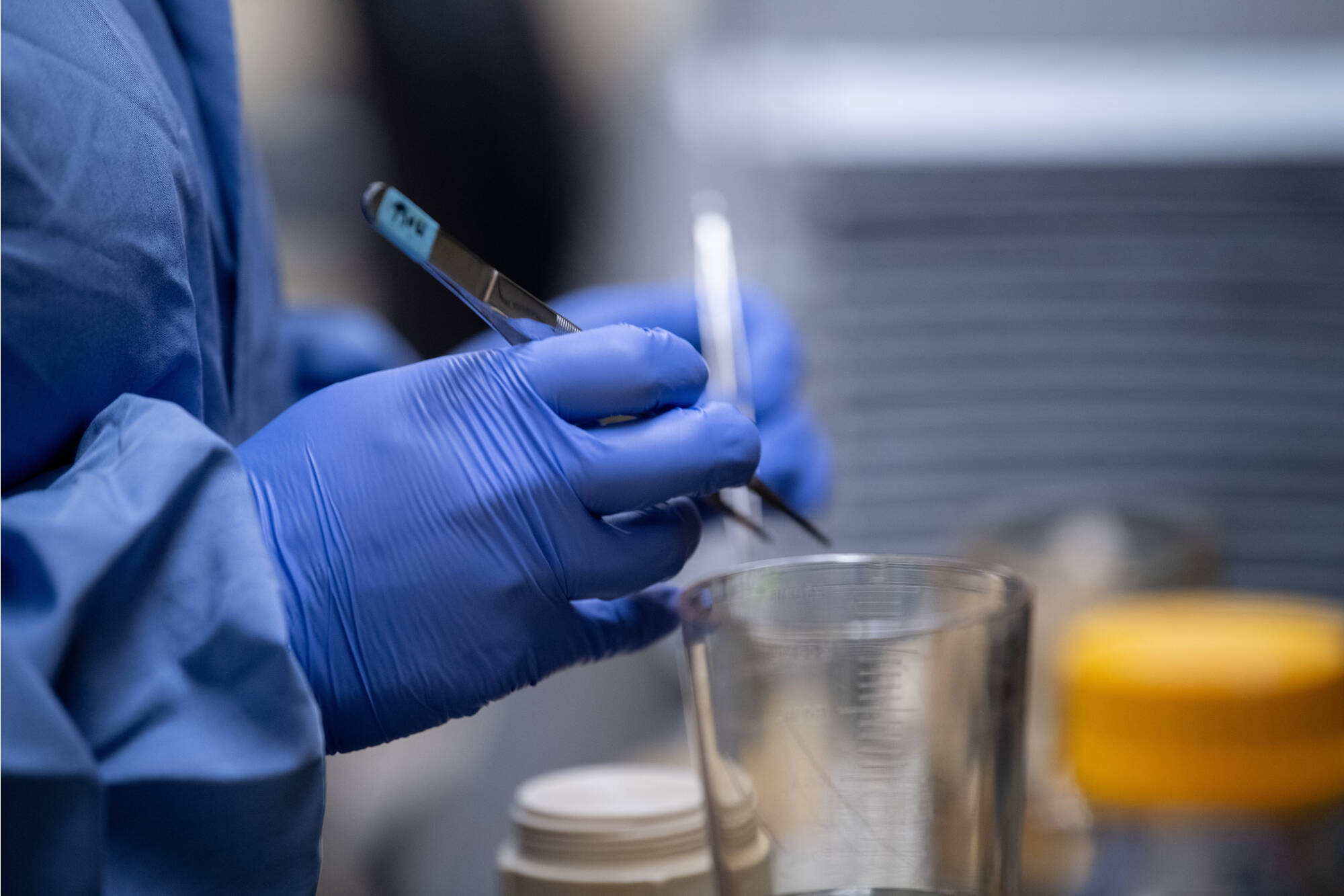student working with filter papers in the lab.